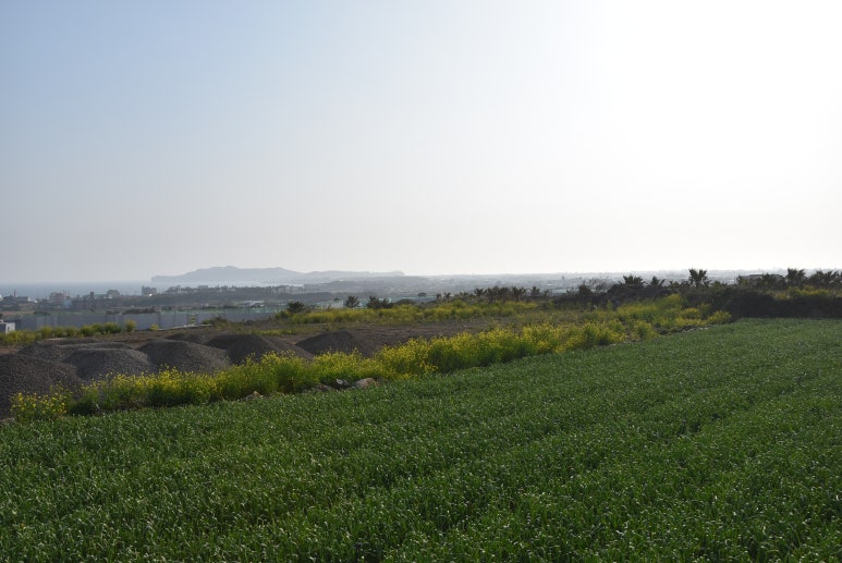 인정궁물떡볶이 이미지