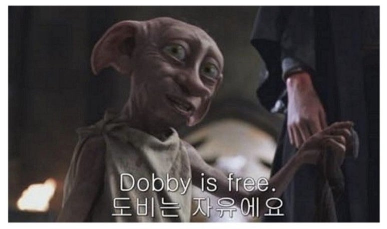 도비의선물 이미지