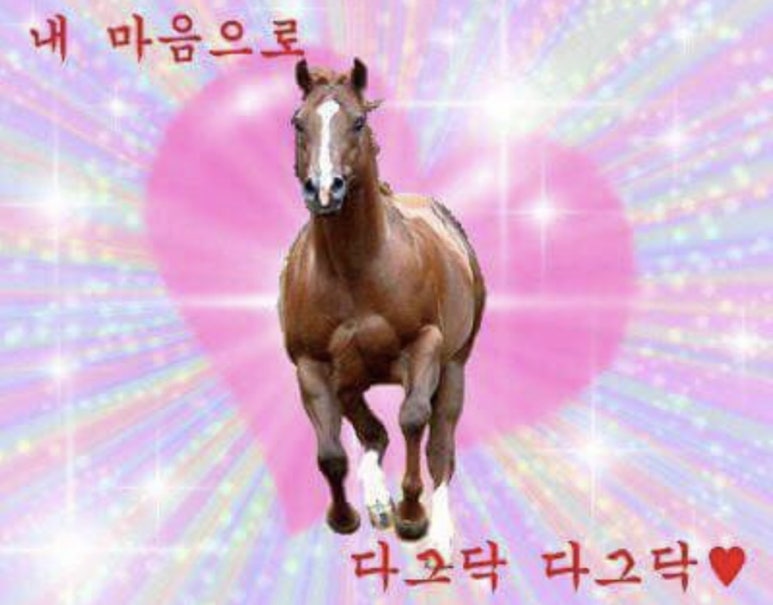 경주식당 이미지