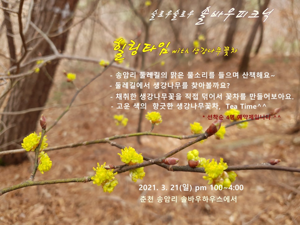 슬로우피크닉 이미지