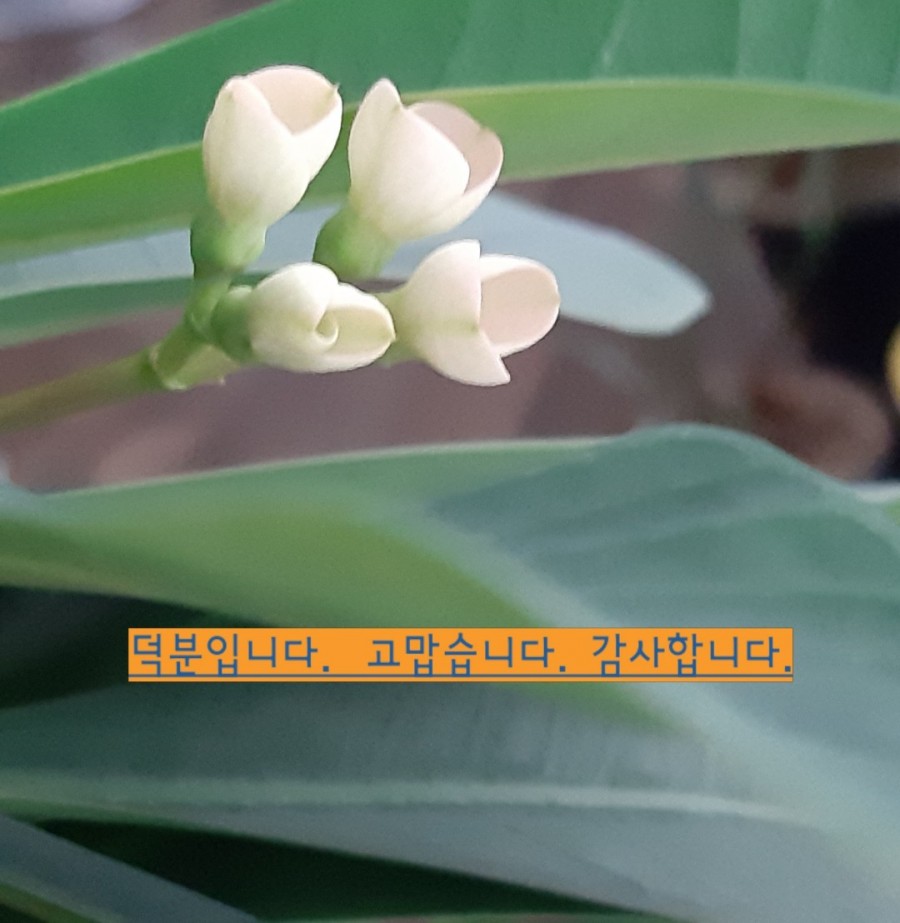 도서출판 미션21 이미지