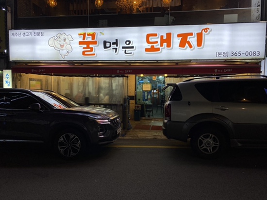 꿀먹은돼지 이미지