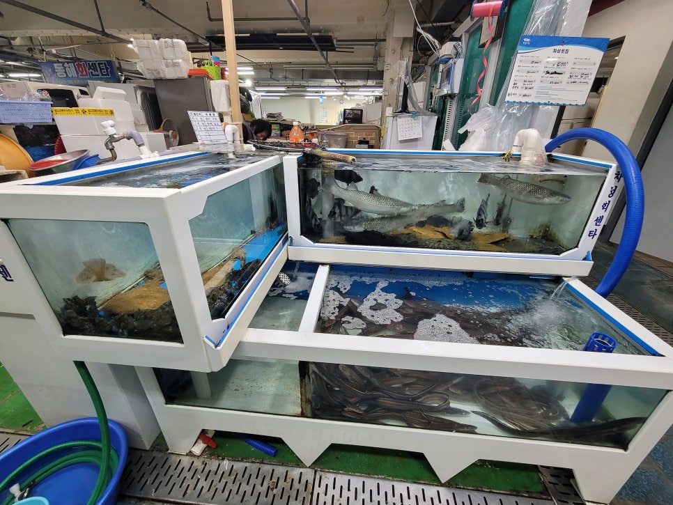 삼시세끼회센타 이미지