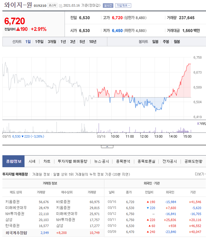 와이지홀딩스 이미지