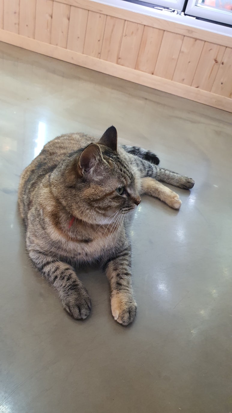 궁평특산물명품관 이미지