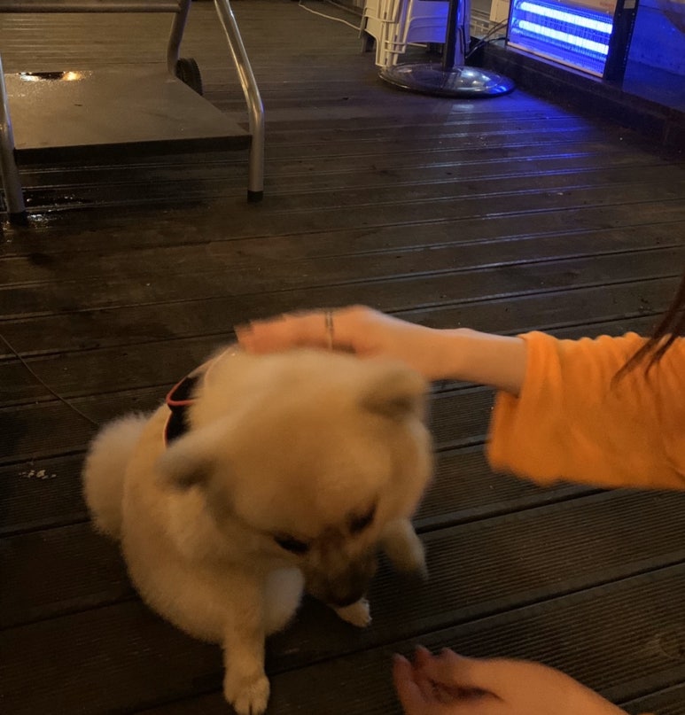 미락포차 이미지