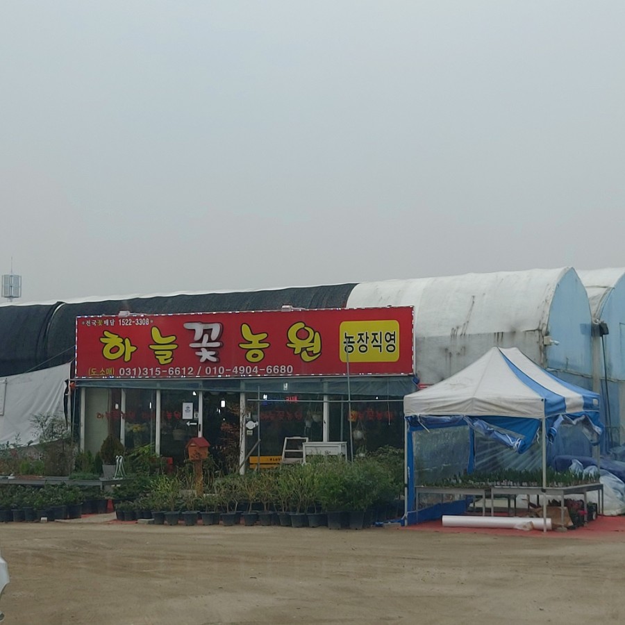하늘꽃농원 이미지