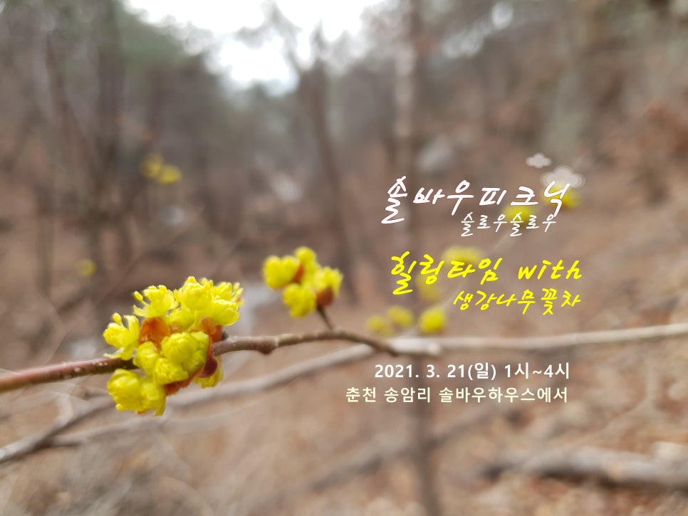 슬로우피크닉 이미지