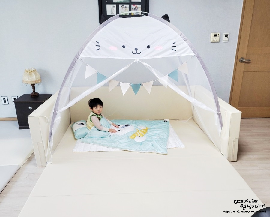 꿈비교육 이미지