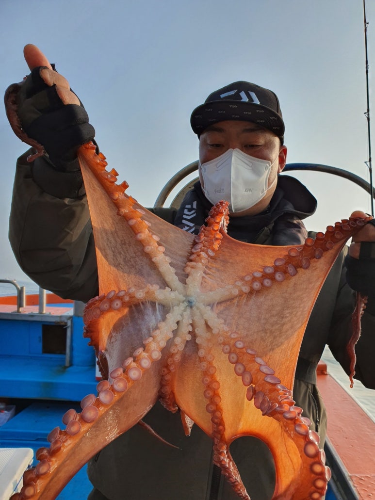 동해호 이미지