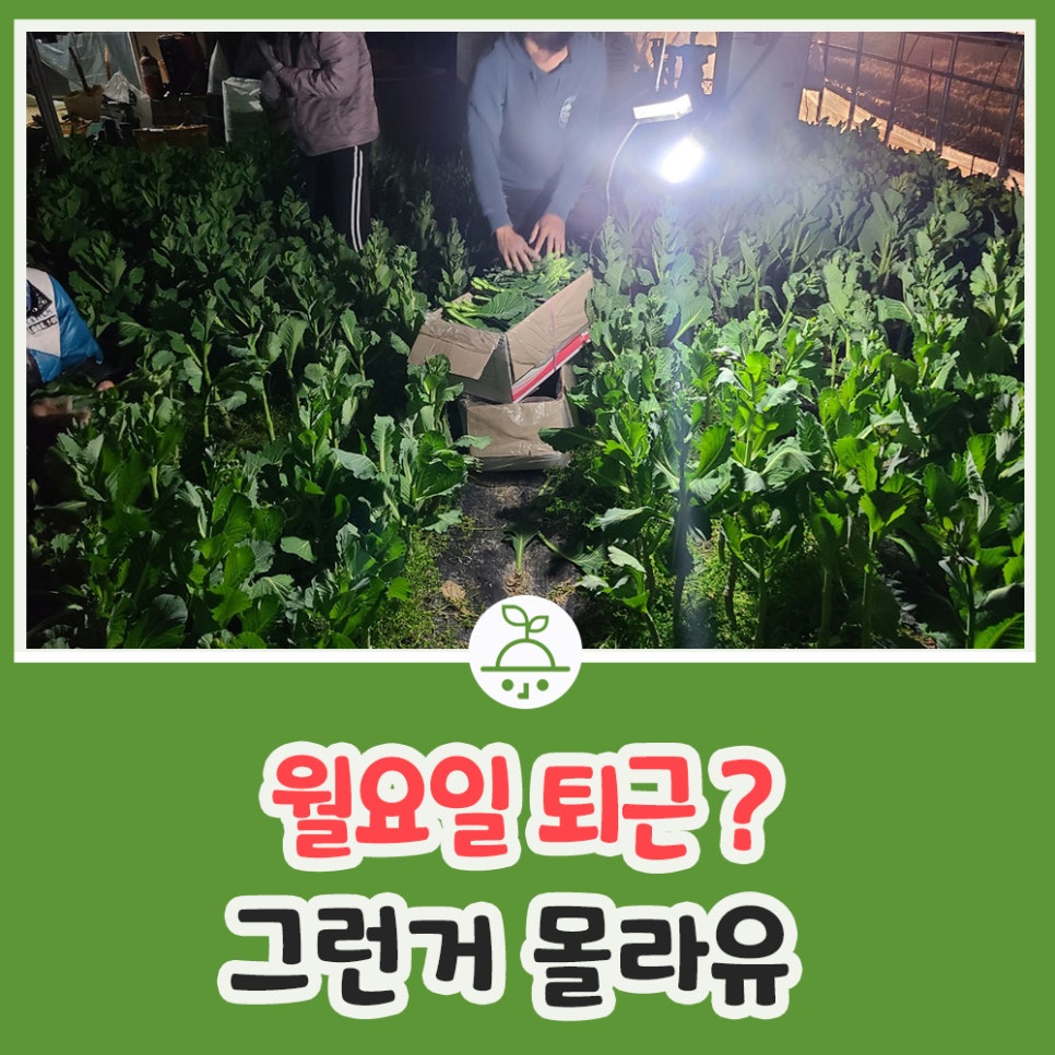 (주)농부네 이미지
