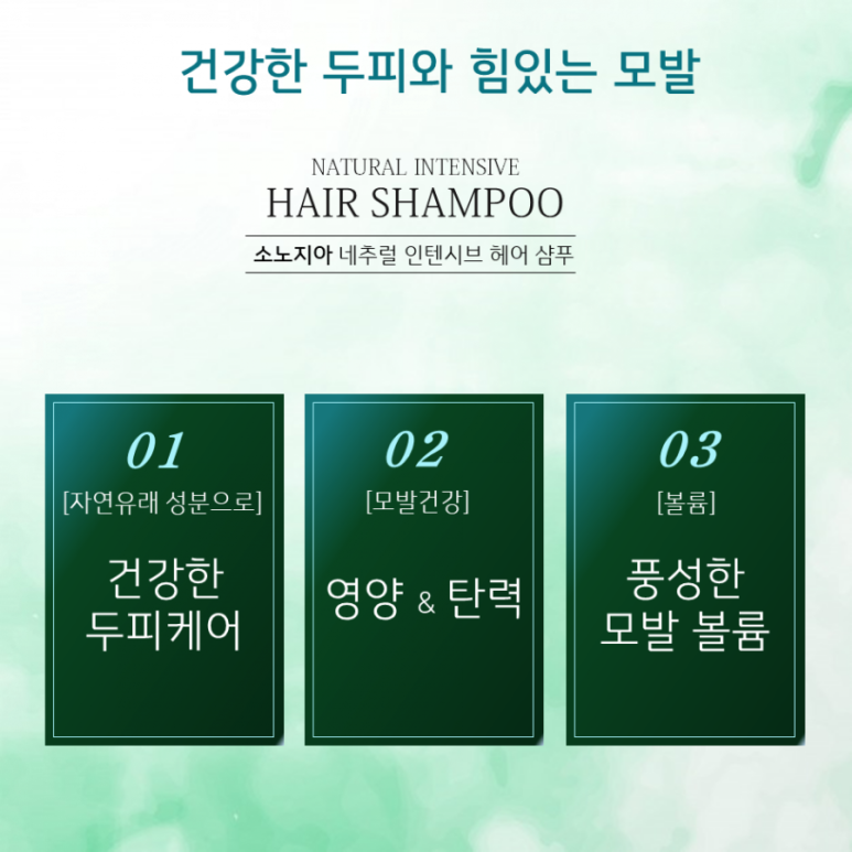소노지아 이미지