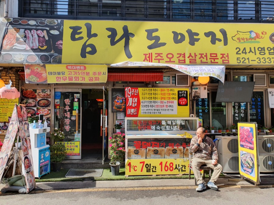 탐라도야지2 이미지