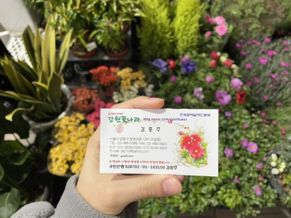 식물꽃나라 이미지
