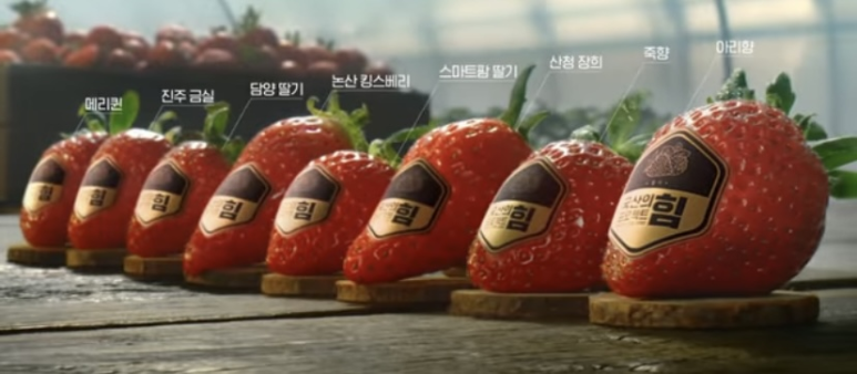 이레광고 이미지