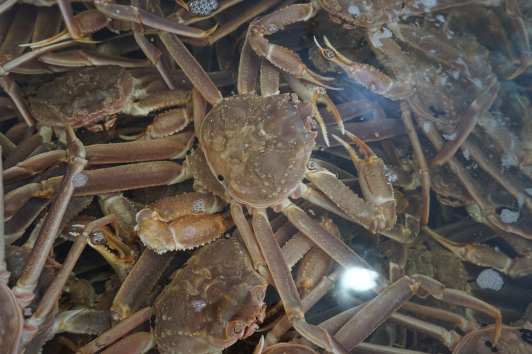 유진포장주식회사 이미지