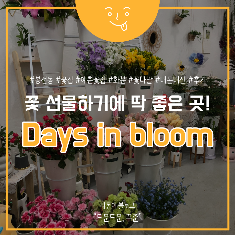 데이즈인블룸 이미지