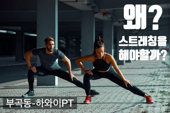 하와이피티 이미지