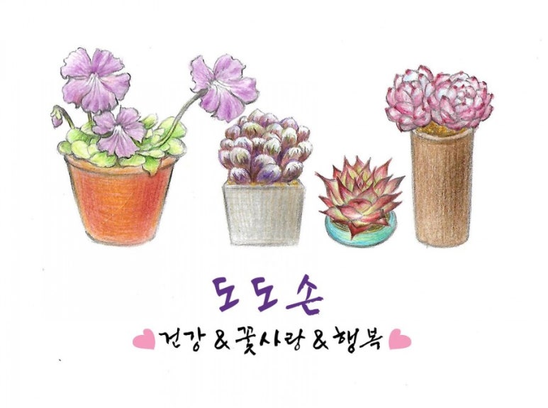 식물;마지 이미지