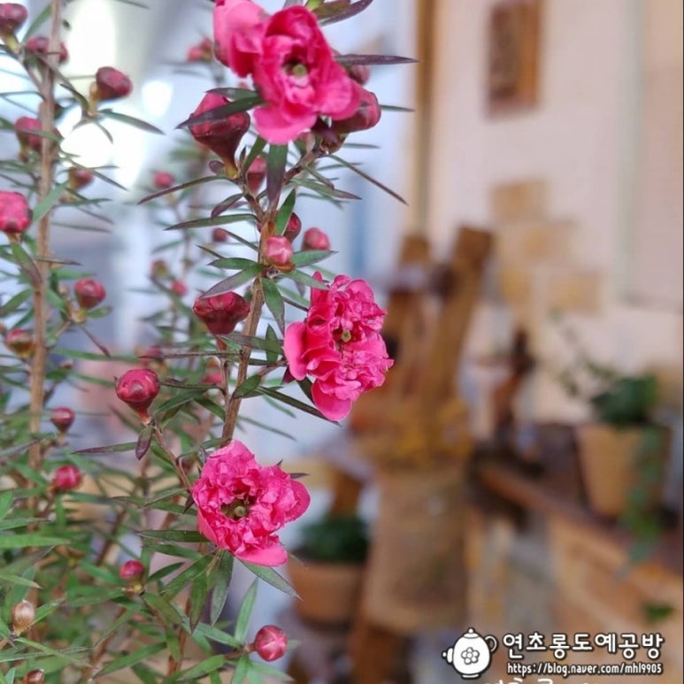 분홍도예공방 이미지