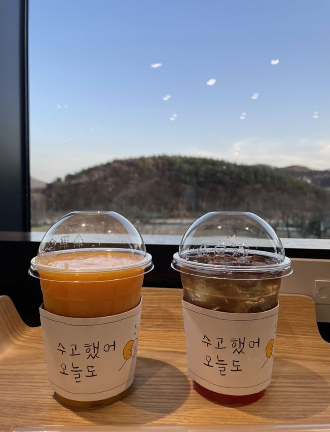 디자몽 이미지