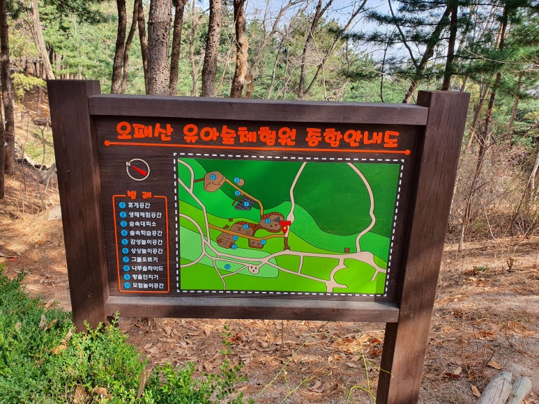 오패산 유아숲체험원 이미지