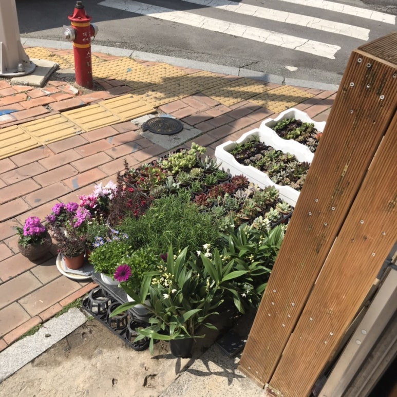 대지꽃집 이미지