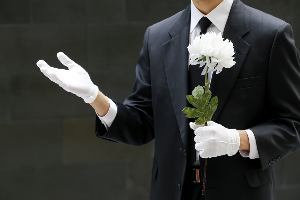 도리상조 이미지