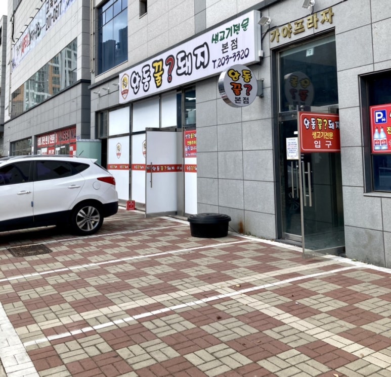 안동꿀돼지 이미지
