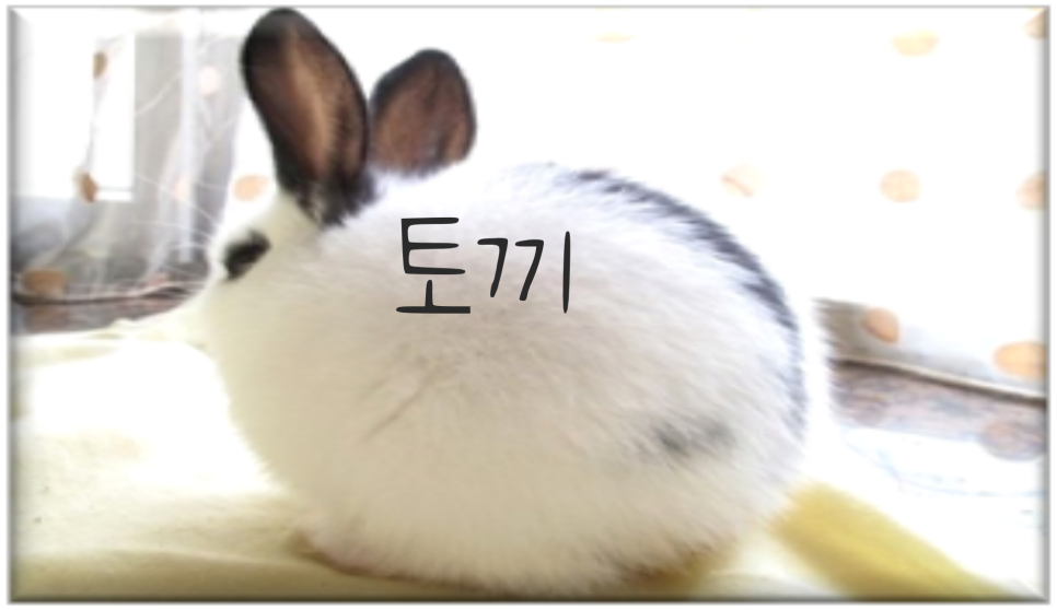 카테랑 이미지
