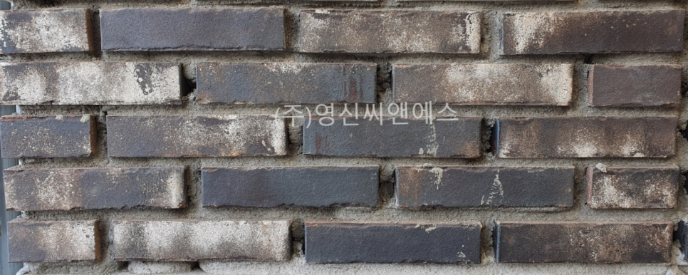라인씨앤에스 이미지