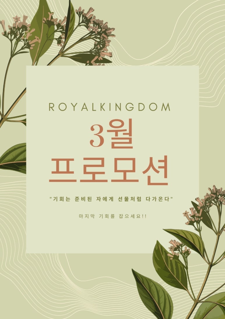 쏠베라 이미지