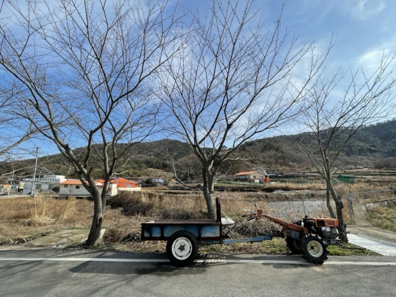 사금식당 이미지