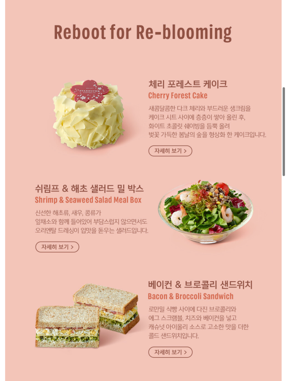 미드나잇포레스트 이미지