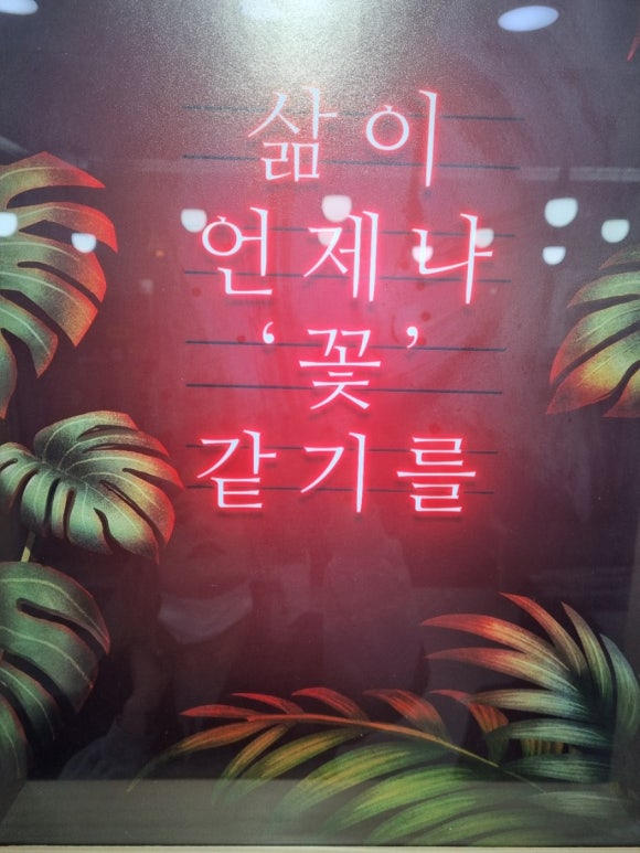 살롱제이 이미지