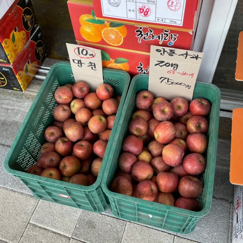 신선청과 이미지