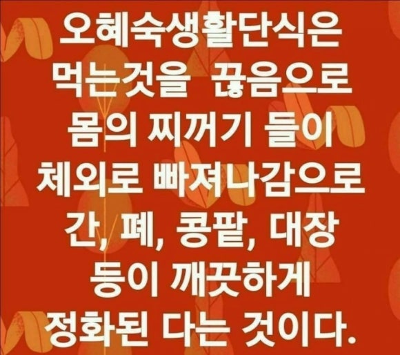 오혜숙생활단식채비지사 이미지