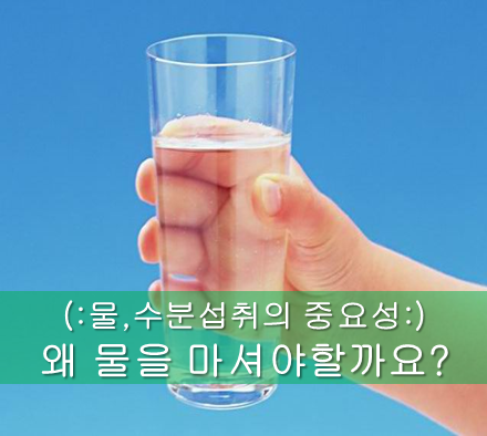 피트니스마틴 이미지