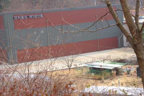 금산홍삼휴게소 이미지
