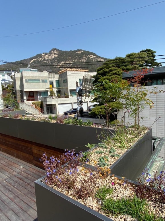 문화카페루프탑(Rooftop) 이미지