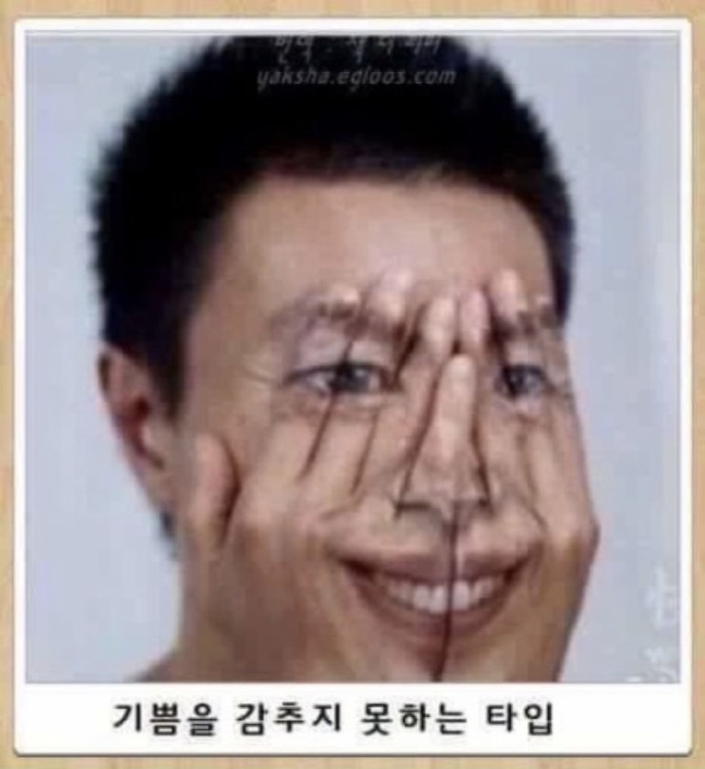 닭이닭 이미지