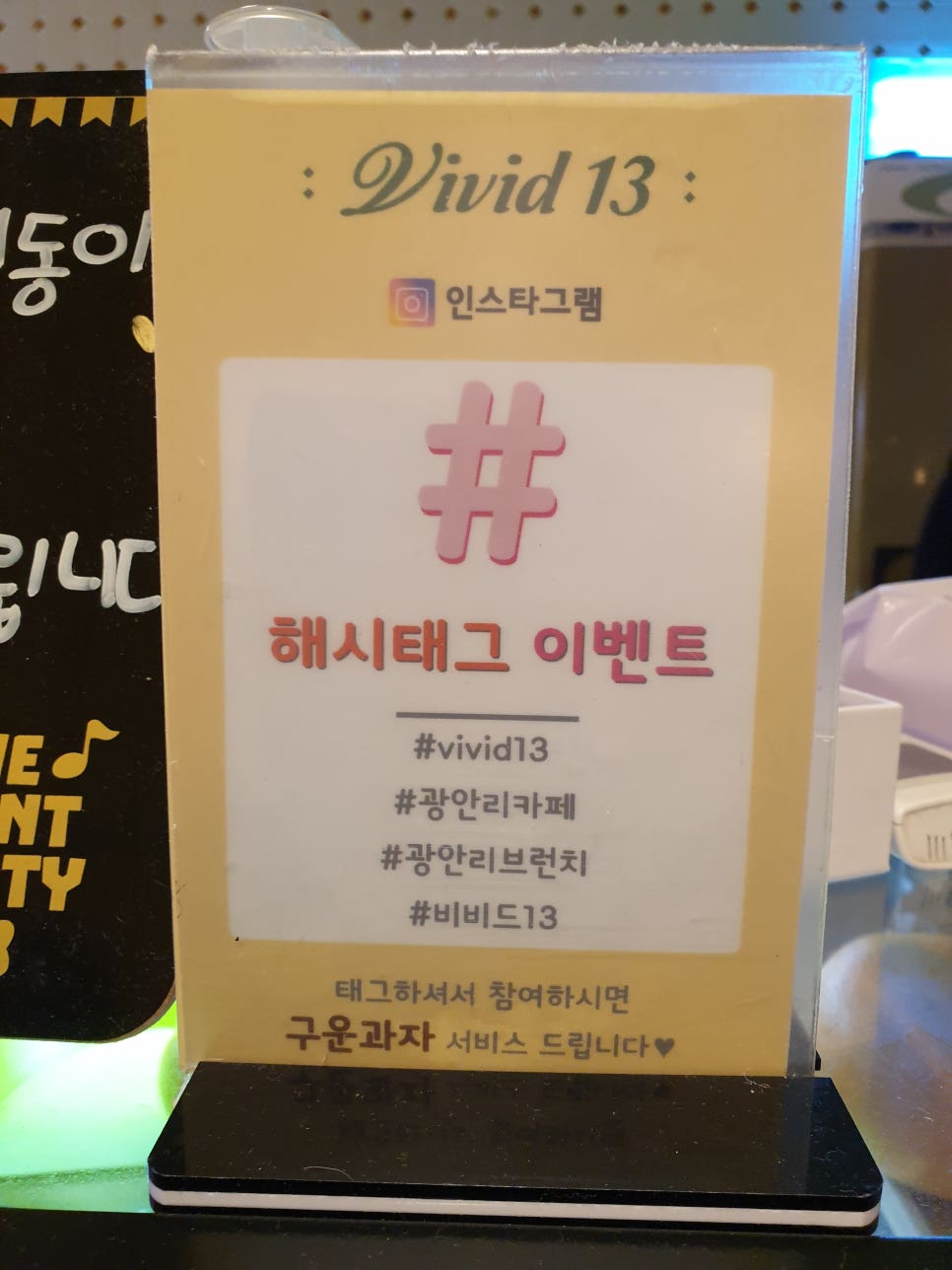 비비드13(vivid13) 이미지