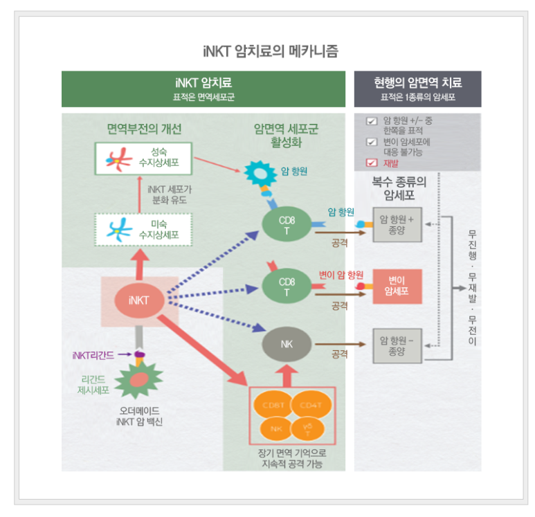 중앙티에스 이미지