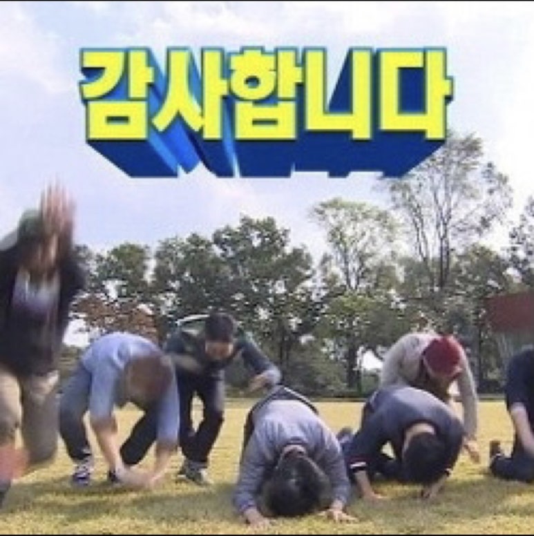 닭이닭 이미지