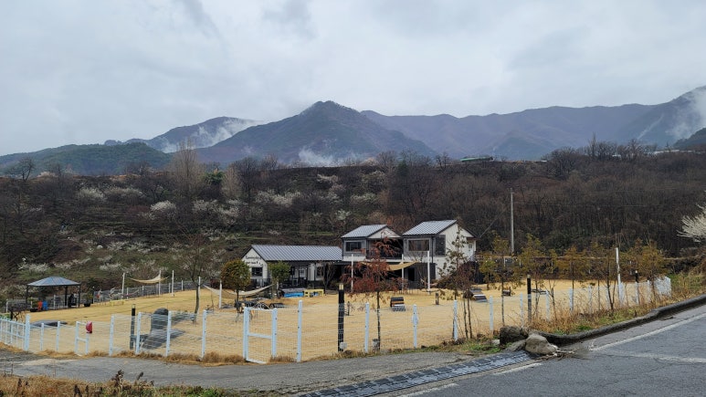 런닝독 이미지