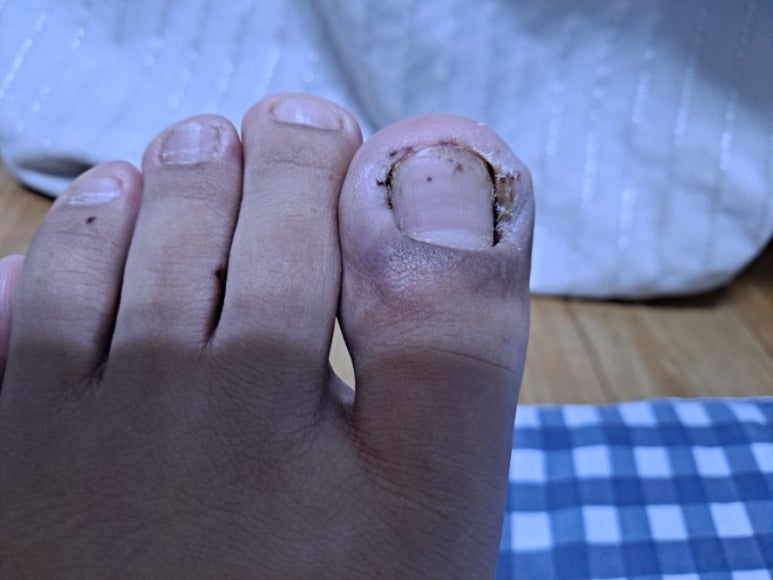 봉글살롱 이미지