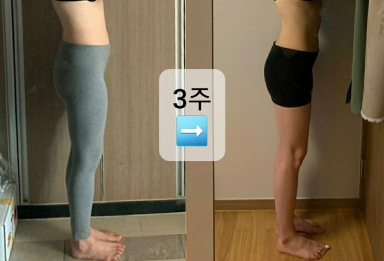 피티플렉스 이미지