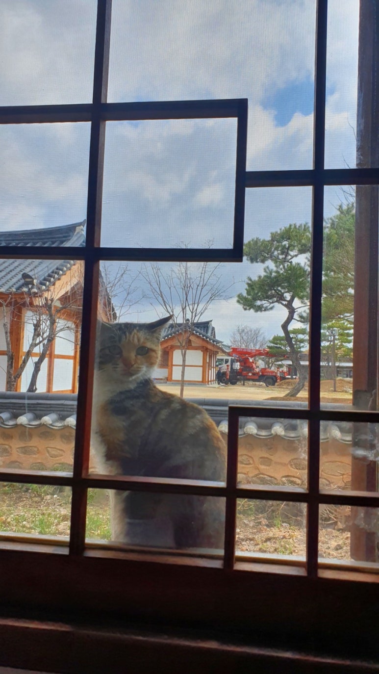 지평선한우명품관 이미지