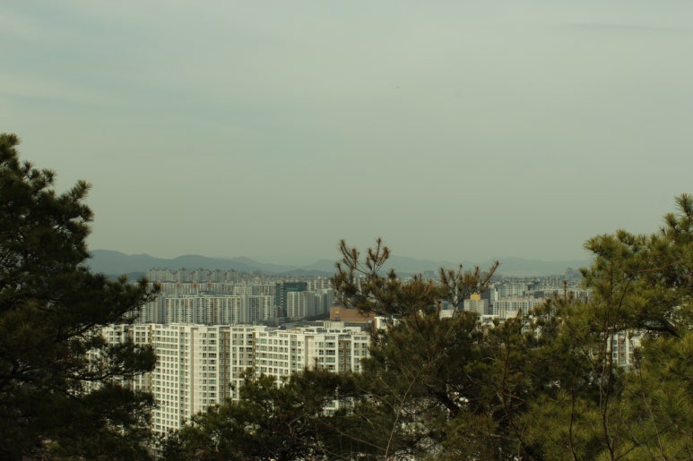 말미산정상 이미지