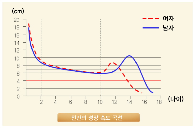 키네스 이미지